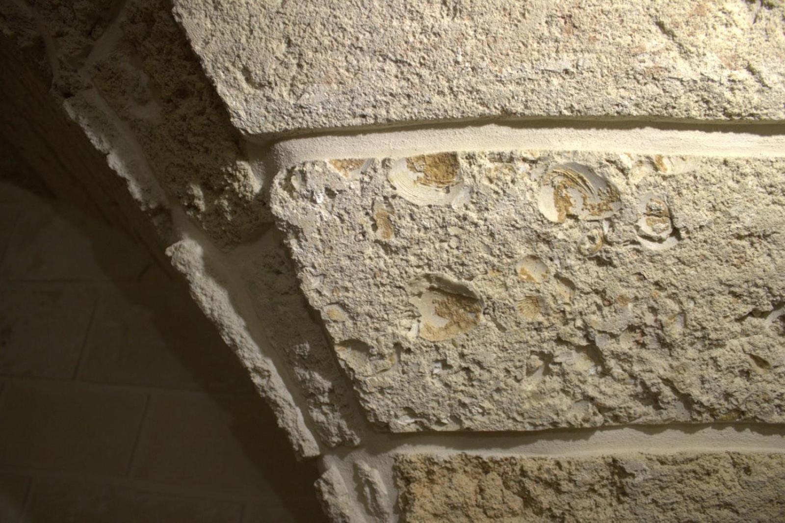 مبيت وإفطار Zollino Dimora La Fuga المظهر الخارجي الصورة